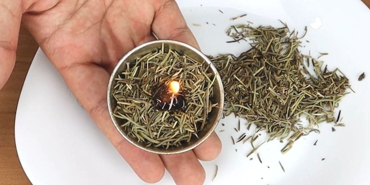 Benefits of burning rosemary Natural Garden Tips