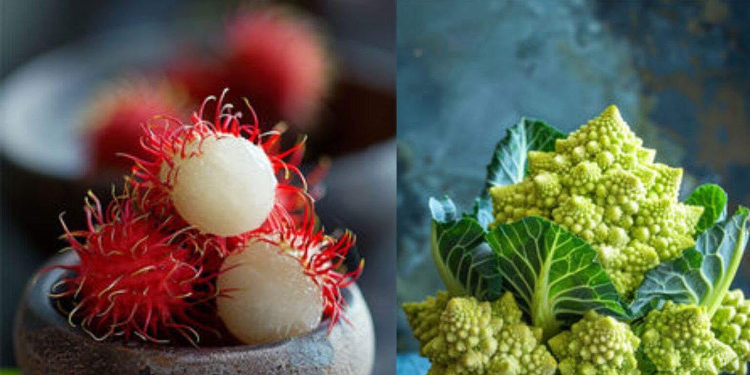 15 Rare and Remarkable Edible Plants for Your Garden Natural Garden Tips