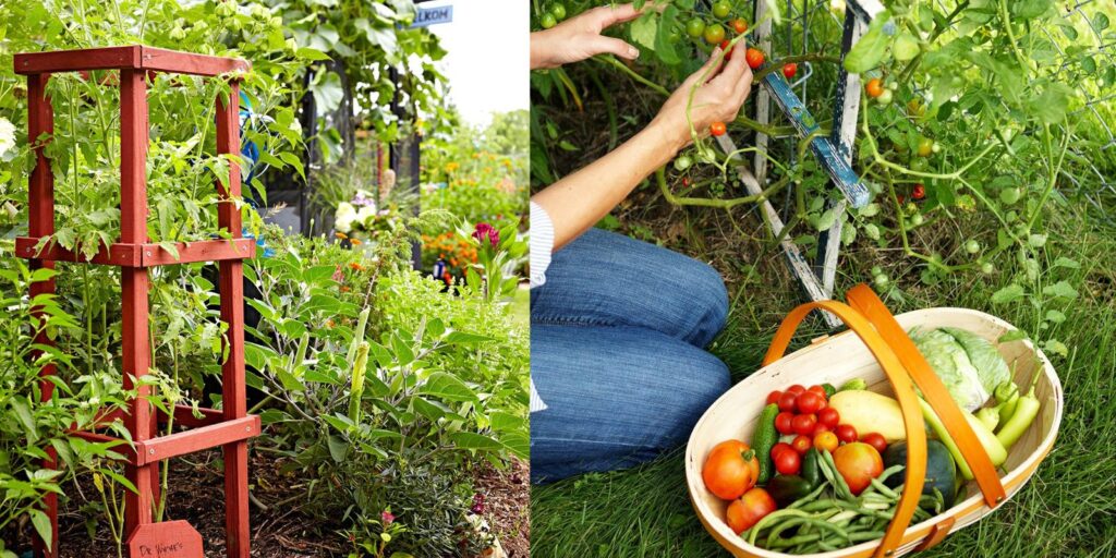 Veggie First 6 Secrets to Starting Your First Vegetable Garden Off Right - Natural ...