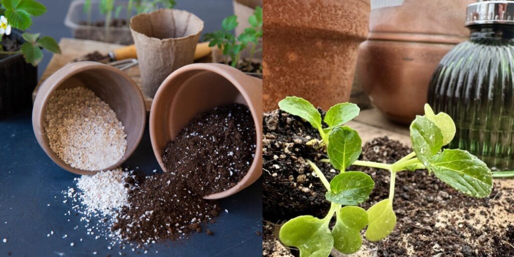 The Best Potting Soil for Plants 6 PeatFree DIY Soil Recipes