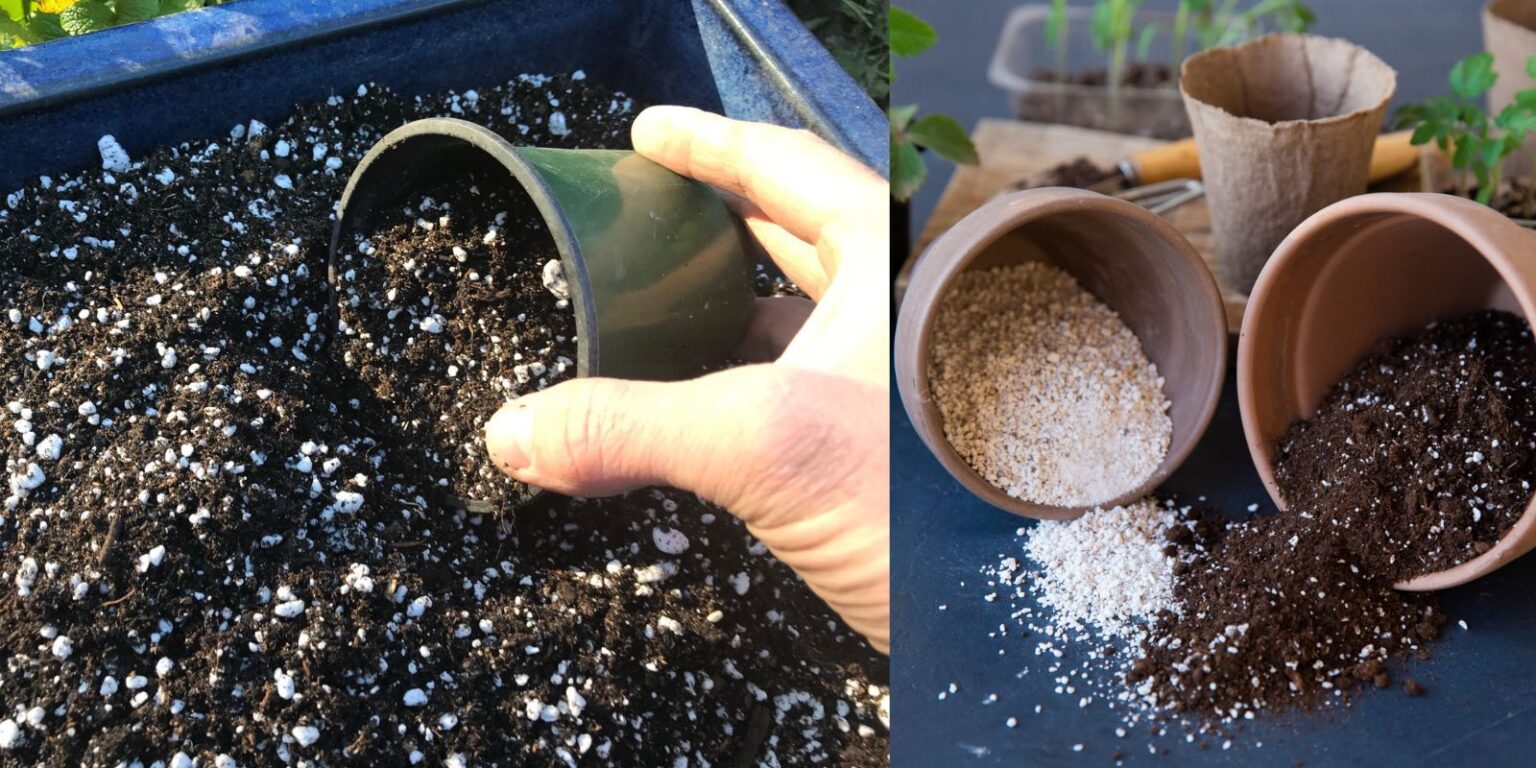 How To Use Perlite To Create Better Soil & Grow Healthier Plants