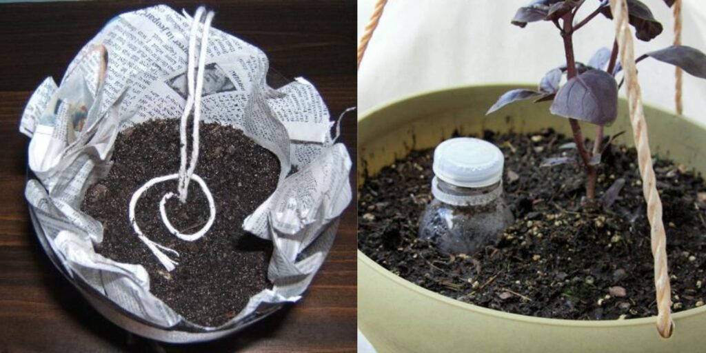 Creating a SelfWatering Recycled Plant Pot for Growing Herbs and
