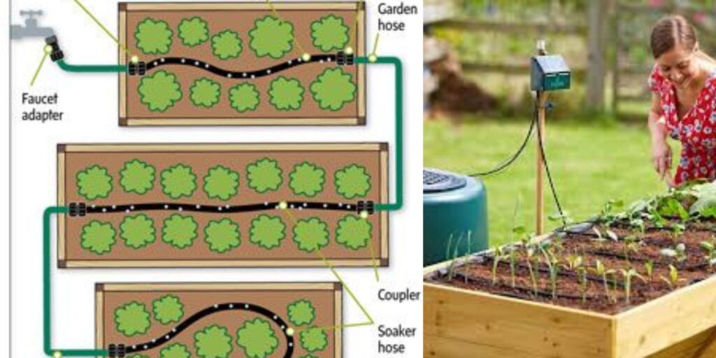 Effortless Garden Care: Setting Up an Automatic Irrigation System for ...