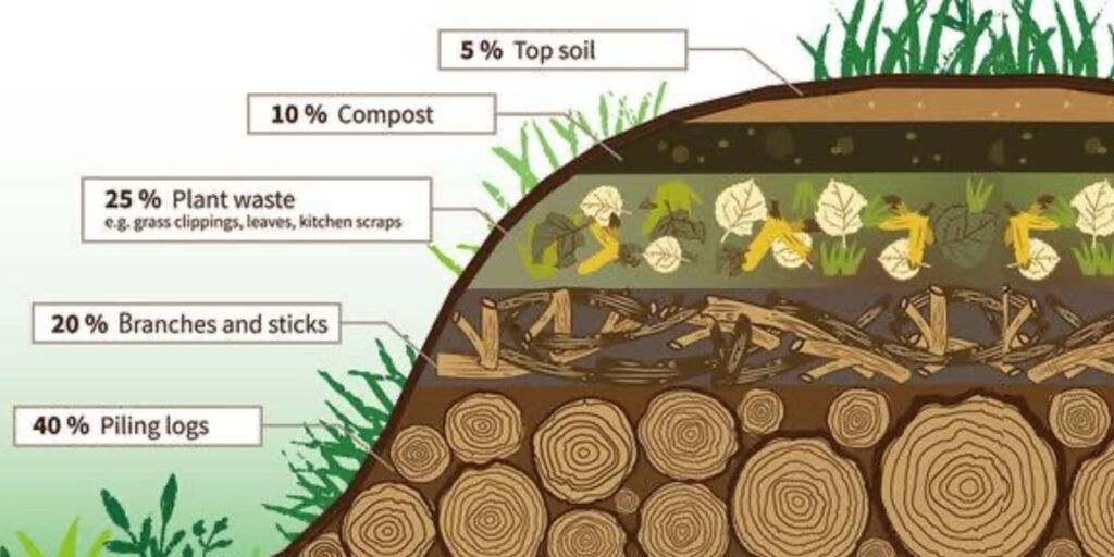 “How to Fill a Deep Raised Bed Cheaply and Easily: A Step-by-Step Guide ...