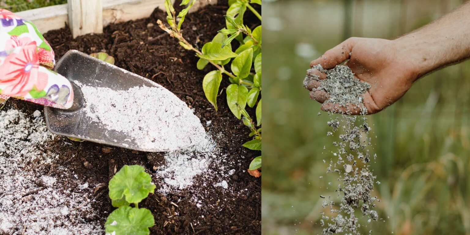 wood-ash-in-compost-good-or-bad-everything-you-need-to-know-natural