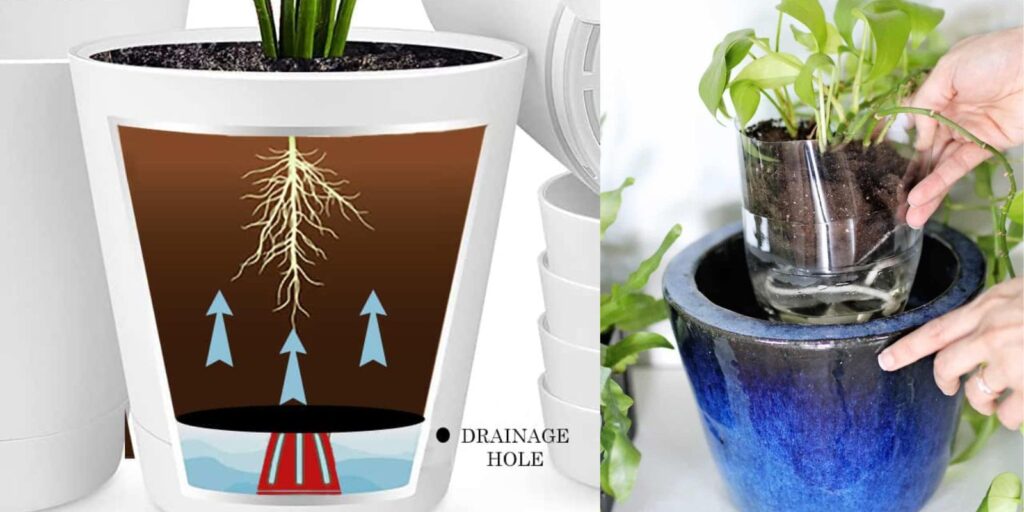 Revolutionize Gardening: Build Your Own Self-Watering Container ...