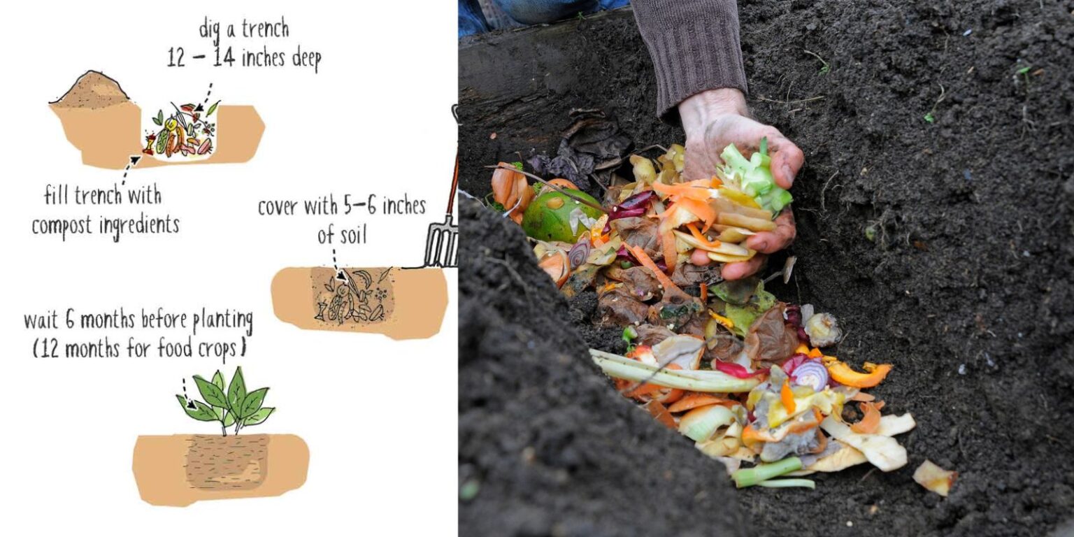 Round Compost How to Trench Compost in Winter: A Simple Guide to Enrich Your Soil ...