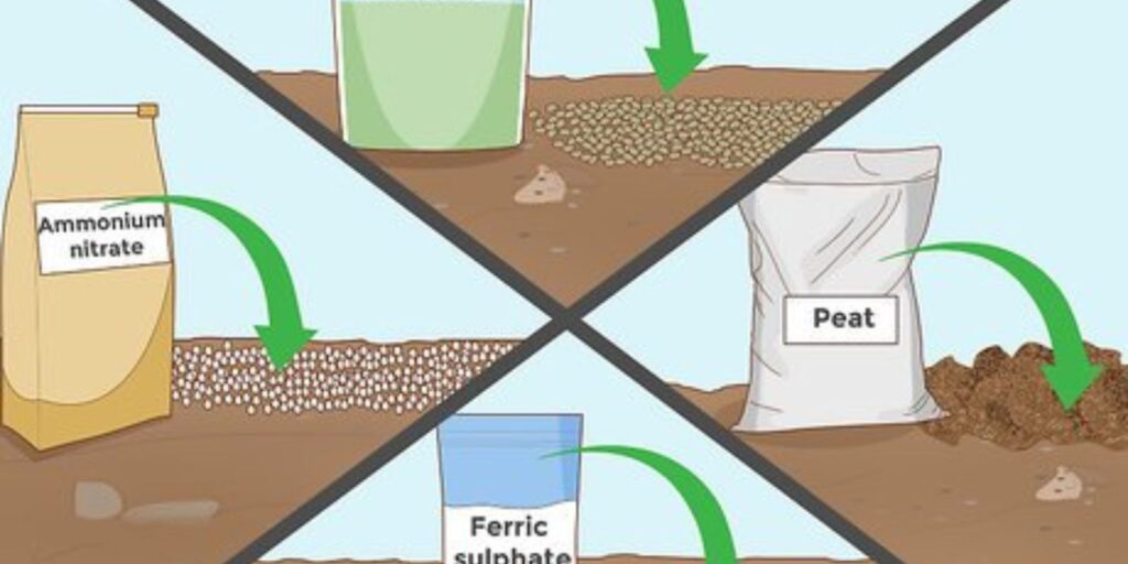 "Mastering Soil Acidity: A Complete Guide to Lowering Soil pH for ...