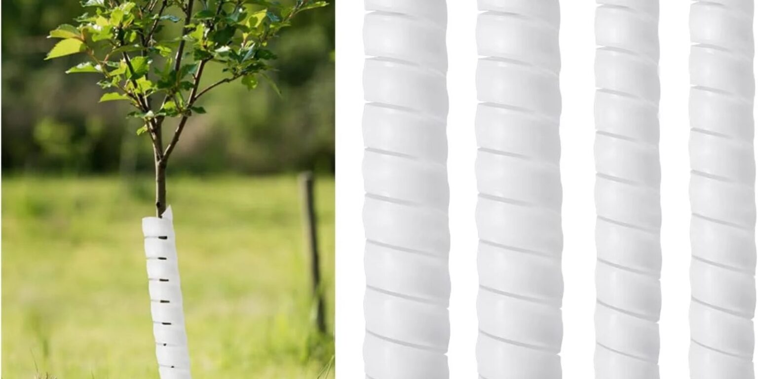 Tree Branch Protection