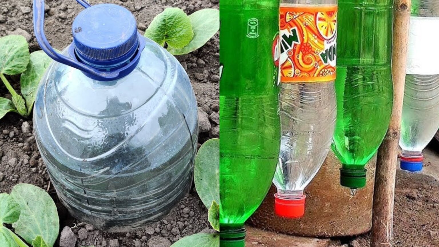 How to Make a Homemade Drip Irrigation System with Bottles - Natural ...