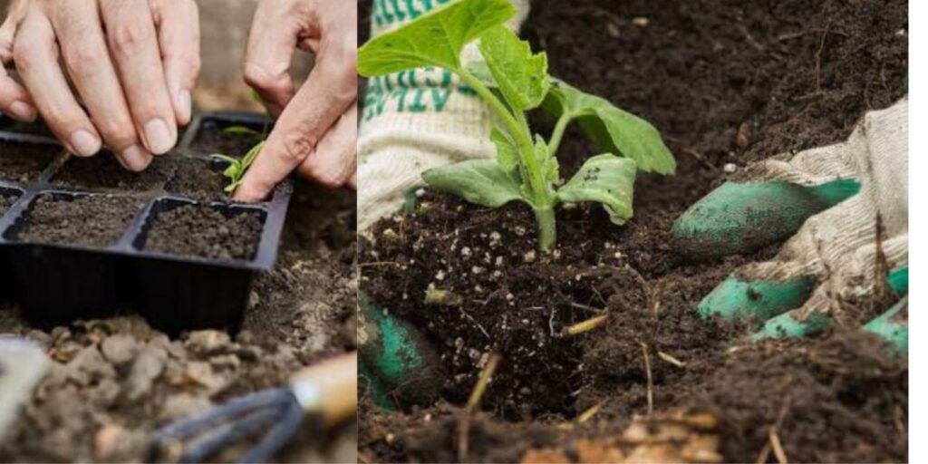 10 Genius Gardening Hacks for a Thriving, Healthy Garden - Natural ...
