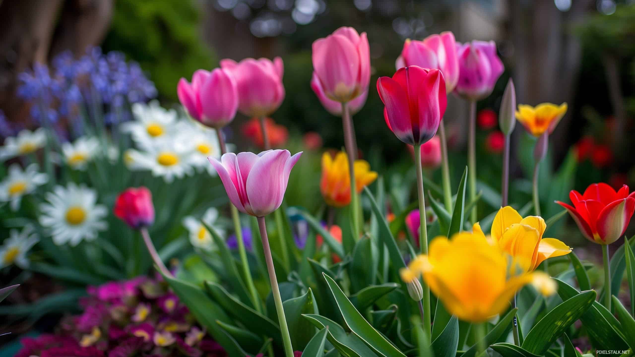 Your Ultimate Guide To Wallpaper Nature Flowers Natural Garden Tips Your Ultimate Guide To Wallpaper Nature Flowers Natural Garden Tips