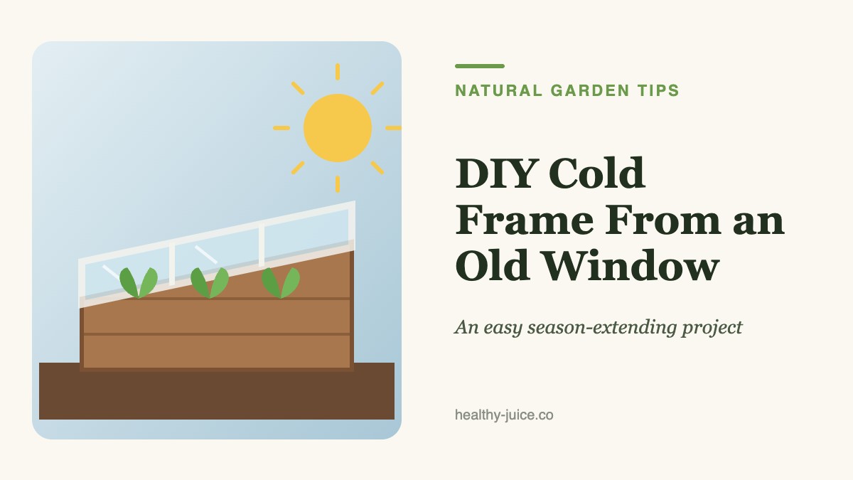 How to Build a Cold Frame From an Old Window (Easy DIY Guide)
